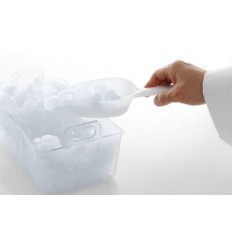 Pārtikas lāpstiņa