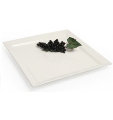 Plate TG PARTY 30x30cm