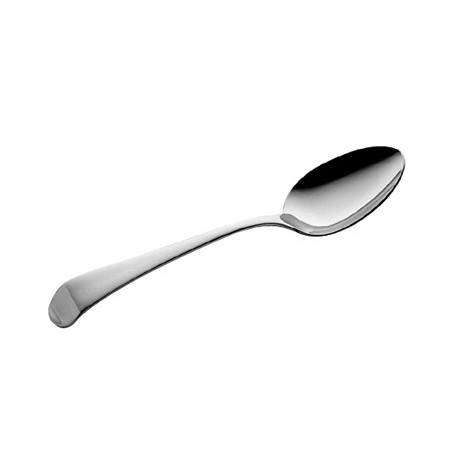 Serving spoon ASTRA 24cm